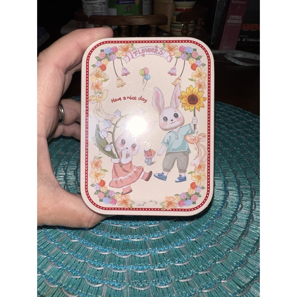 Kawaii Pastel Bunny Picnic Metal Tin Box Red Storage Case Cottagecore Cute New